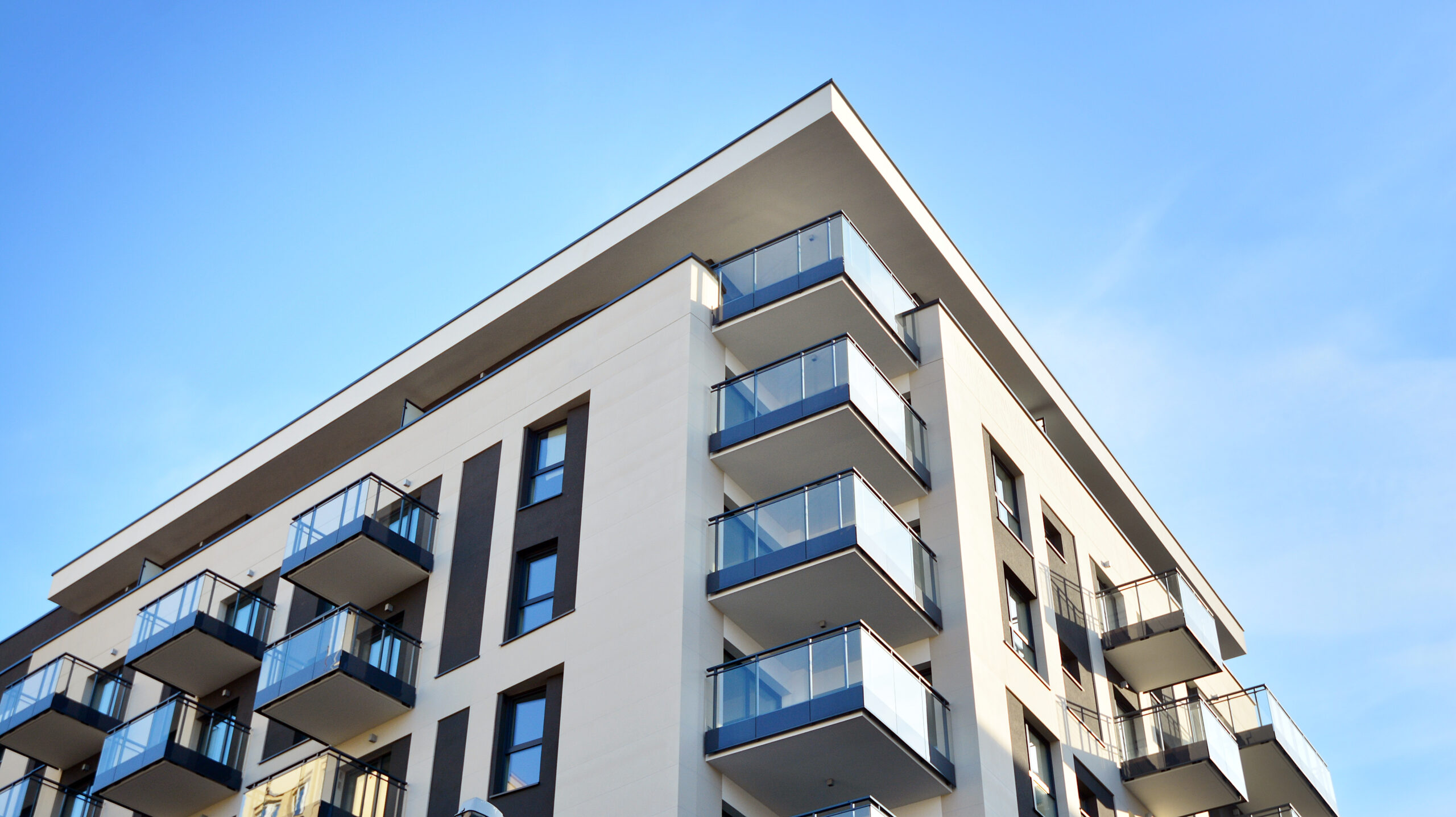man and woman laughing while sitting in front of laptops